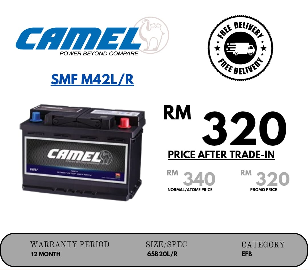 camel_smf_m42lr_65b20lr